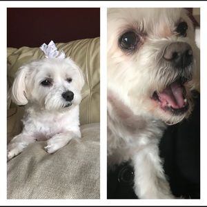 Meet your Posher, Angie